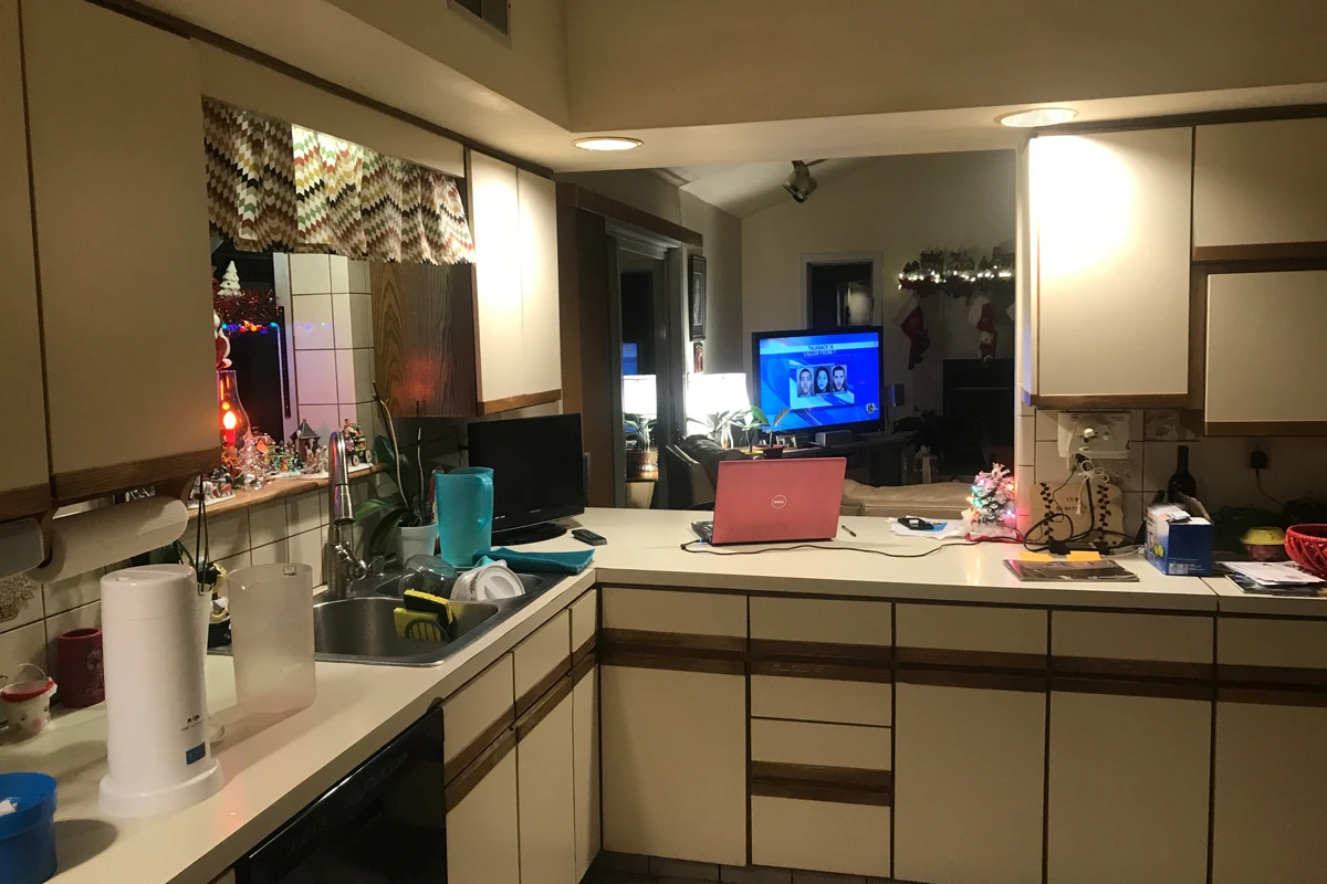 An Open-Concept Kitchen in South Abington Township, PA, photograph 9